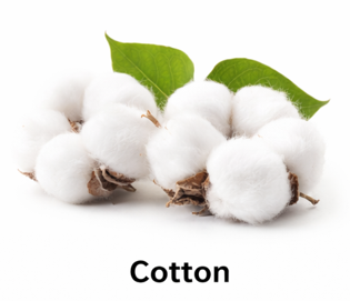 Cotton